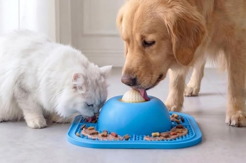 TreatMotion – 2-in-1 Lick Mat Feeding Toy – image 11