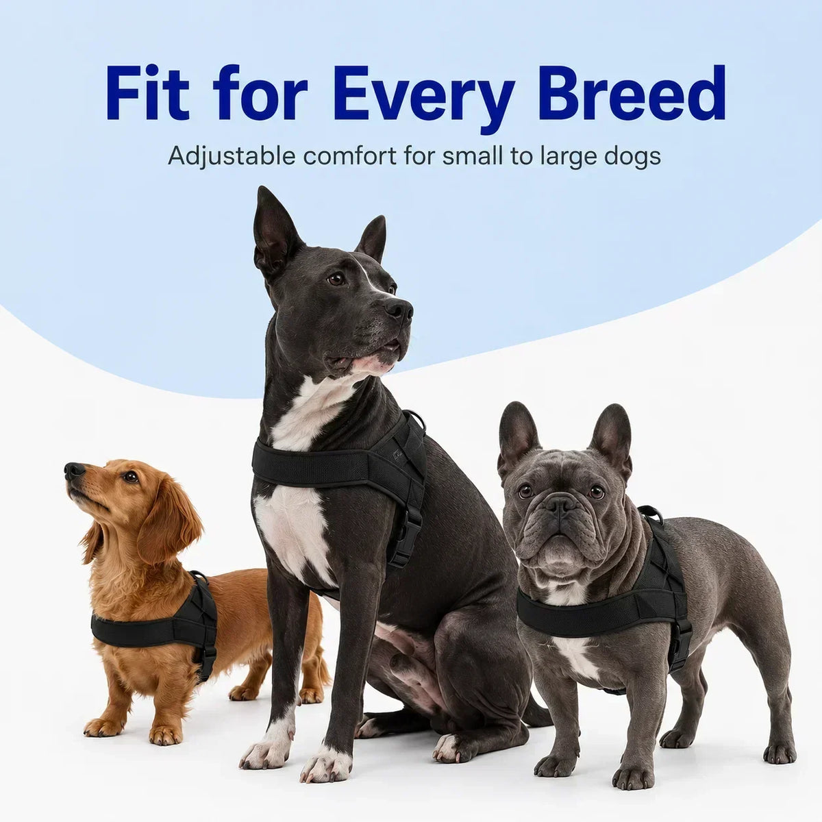 PawGuard – No-Pull Dog Harness – image 4