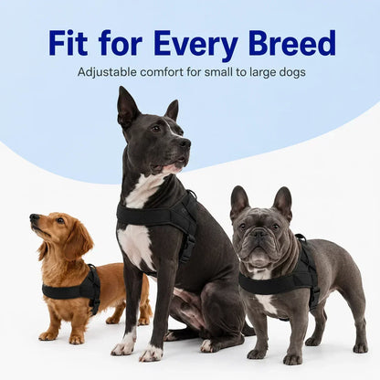 PawGuard – No-Pull Dog Harness – image 4