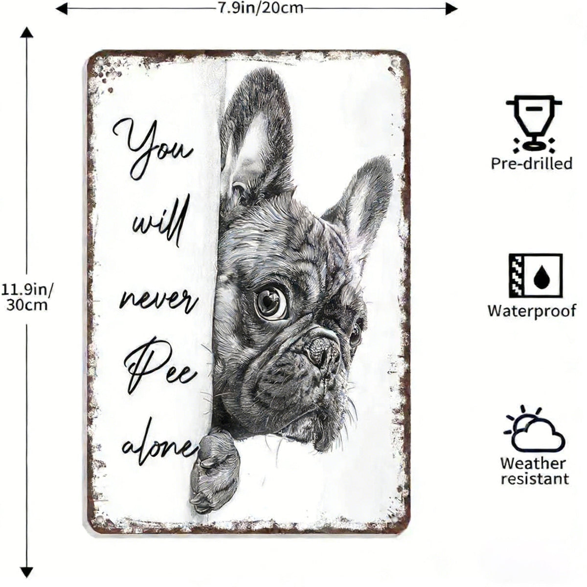 NoirWhiskers - Vintage Cat Wall Art – D