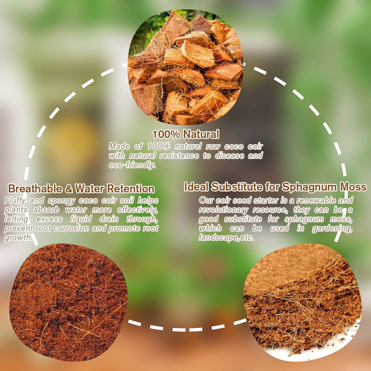 CocoBloom – Natural Coconut Coir Bricks for Plants – image 3