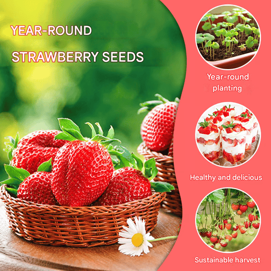 HarvestBerry – Garden Strawberry Seeds – 200 seeds