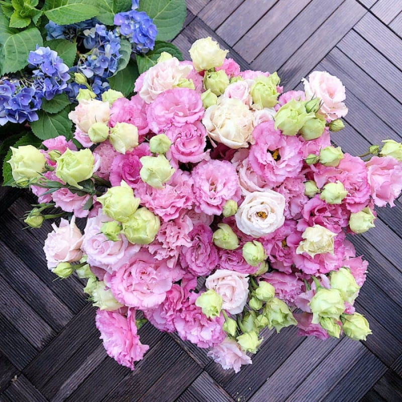 BloomRidge – Hardy Perennial Lisianthus Seeds – Pink / 100 Seeds