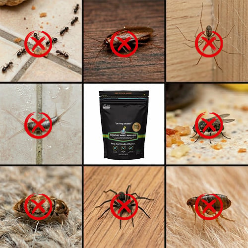 GreenShield – Organic Lawn Pest Repellent – image 7