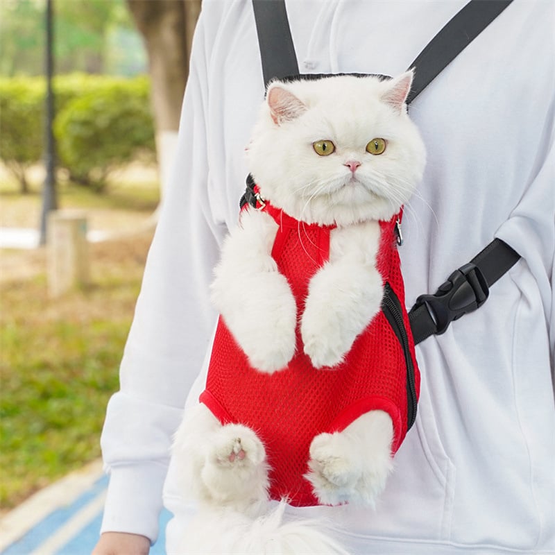 PawVoyage – Pet Travel Leg-Out Backpack – image 3