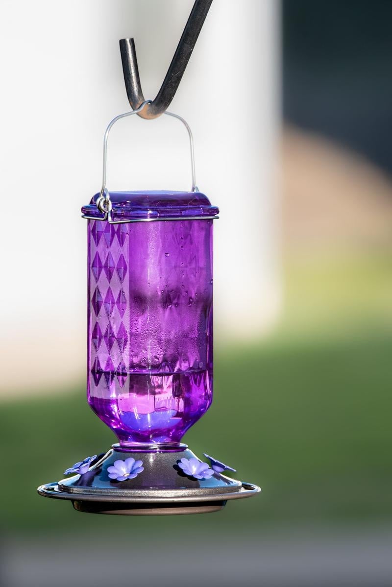 BloomNest – Hummingbird Nectar Feeder – image 9