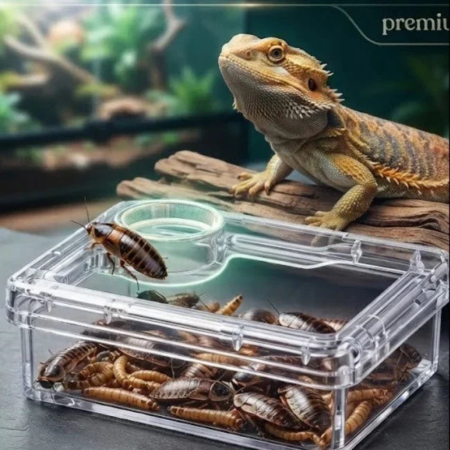 TerraLock – Premium Anti-Escape Reptile Feeding Dish – image 5