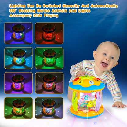 Musical Light-Up Ocean Toy – image 2