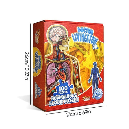 Organix – Interactive Anatomy Learning Puzzle – image 13