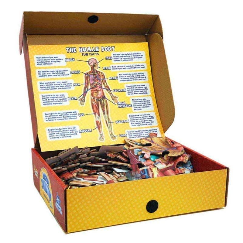 Organix – Interactive Anatomy Learning Puzzle – image 14
