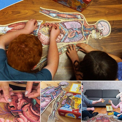Organix – Interactive Anatomy Learning Puzzle – image 7