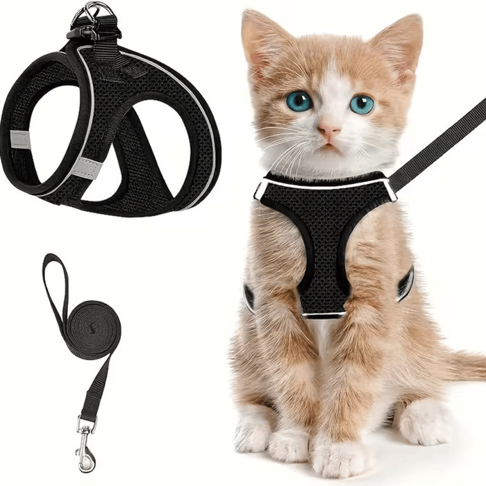 PawFit – Adjustable Pet Harness & Leash Set – Black / S