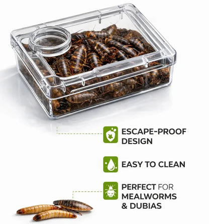 TerraLock – Premium Anti-Escape Reptile Feeding Dish – image 2