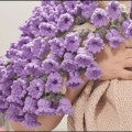 CozyBloom – Hand-Knitted Rose Blanket DIY Kit – Purple Lily of the Valley / 70cm (DIY kit : Yarn & tools only. Knitting needed. )