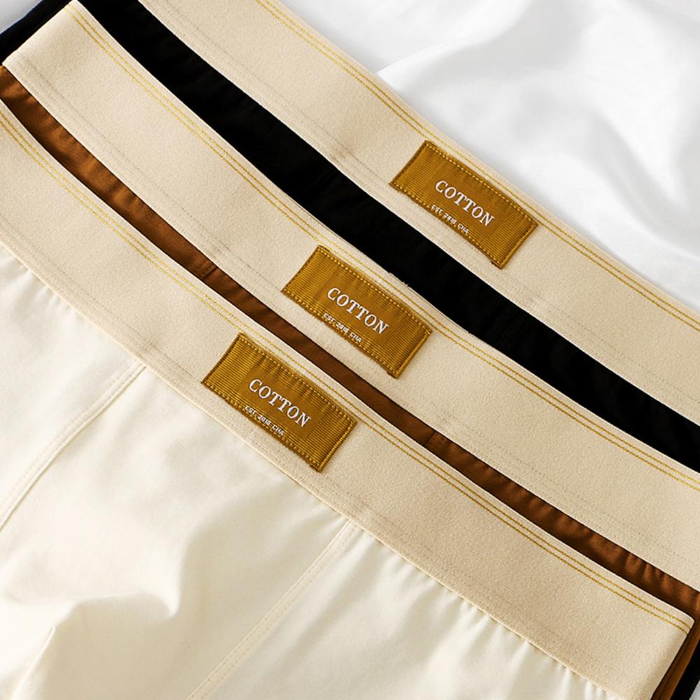 Cotton Boxer Shorts – image 5