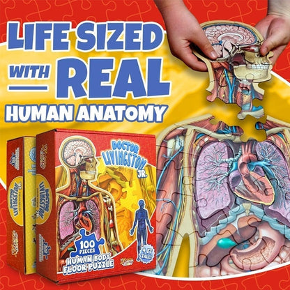 Organix – Interactive Anatomy Learning Puzzle – image 4