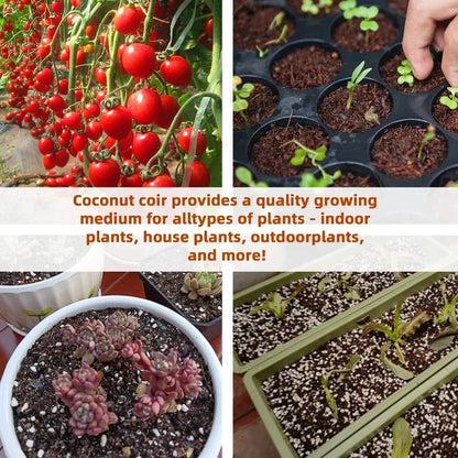 NatureSprout – Organic Coconut Coir for Lush Gardens – image 9