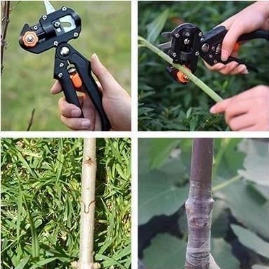 BranchBond – Professional Grafting Cutter – image 5