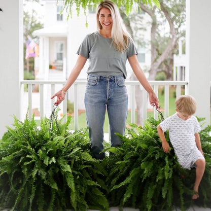 LeafLuxe – Realistic UV Protected Artificial Boston Fern – Buy 3 Get 1 Free ( 4 Bundles )