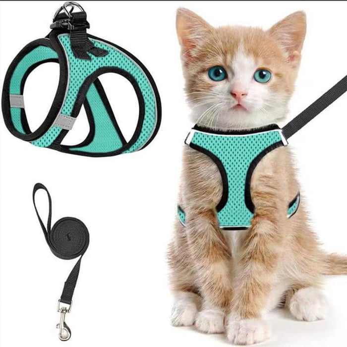 PawFit – Adjustable Pet Harness & Leash Set – Light Green / S