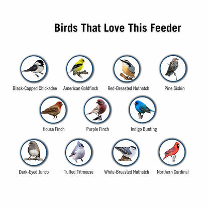 SeedGuard – Smart Hanging Bird Feeder – image 6