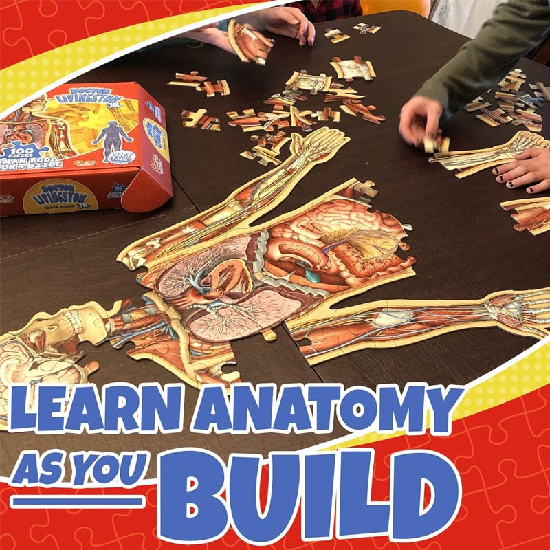 Organix – Interactive Anatomy Learning Puzzle – image 3