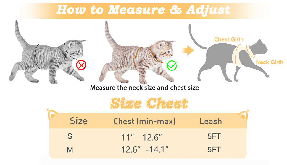 PawFit – Adjustable Pet Harness & Leash Set – image 7