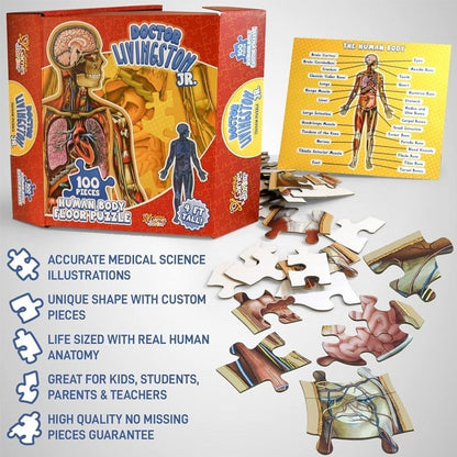 Organix – Interactive Anatomy Learning Puzzle – image 8