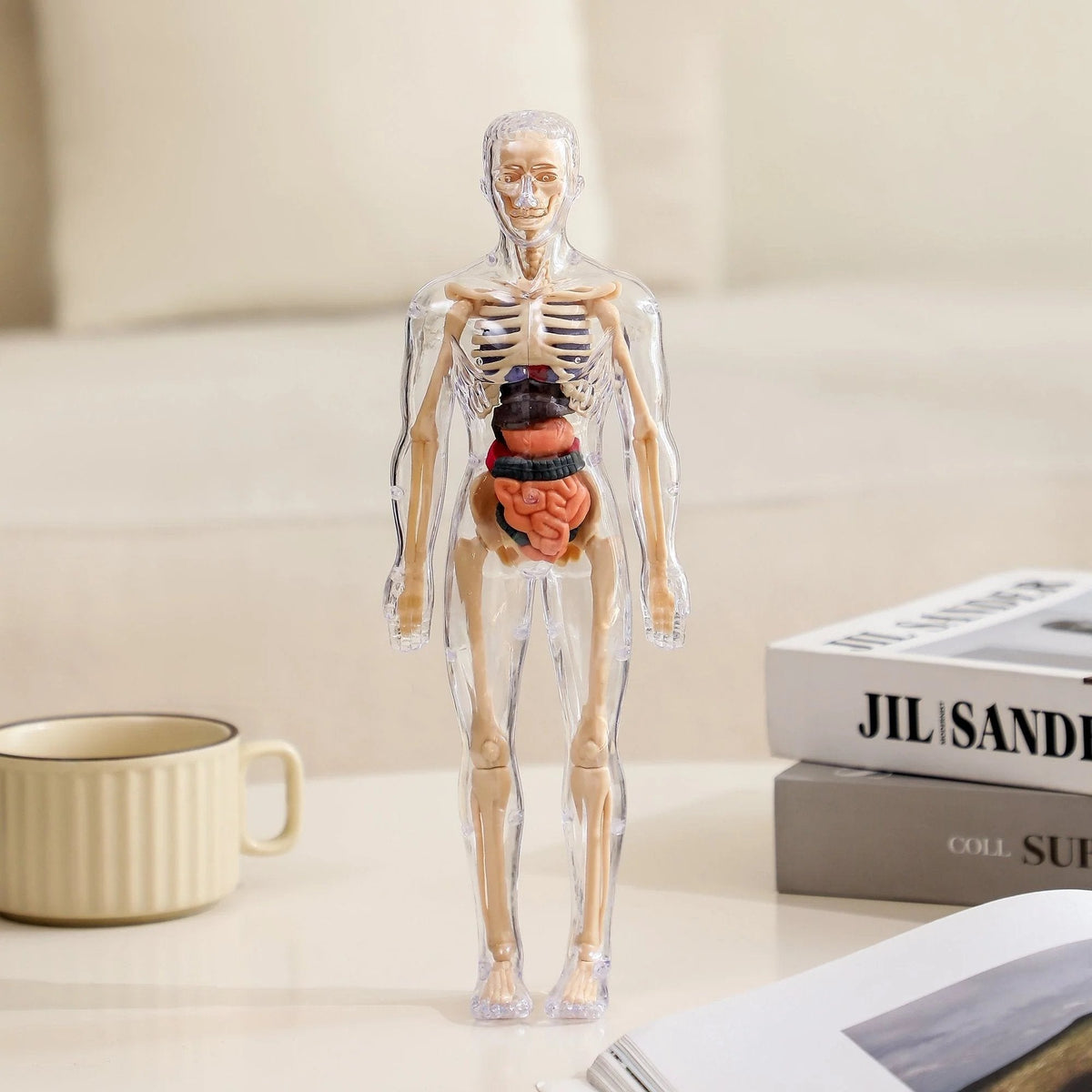 SmartSkeleton – Fun Stem Anatomy Model for Kids – PACK OF 1