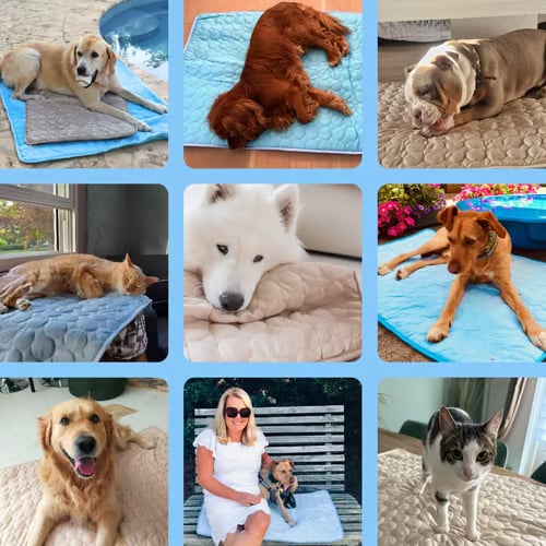 PawBreeze – Instant Cooling Pet Mat – image 8