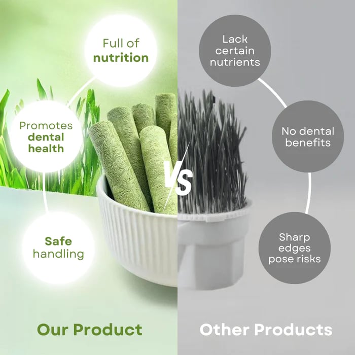 PurrChew – Natural Cat Grass Chew Sticks – image 3
