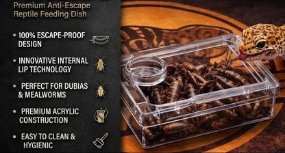TerraLock – Premium Anti-Escape Reptile Feeding Dish – image 7
