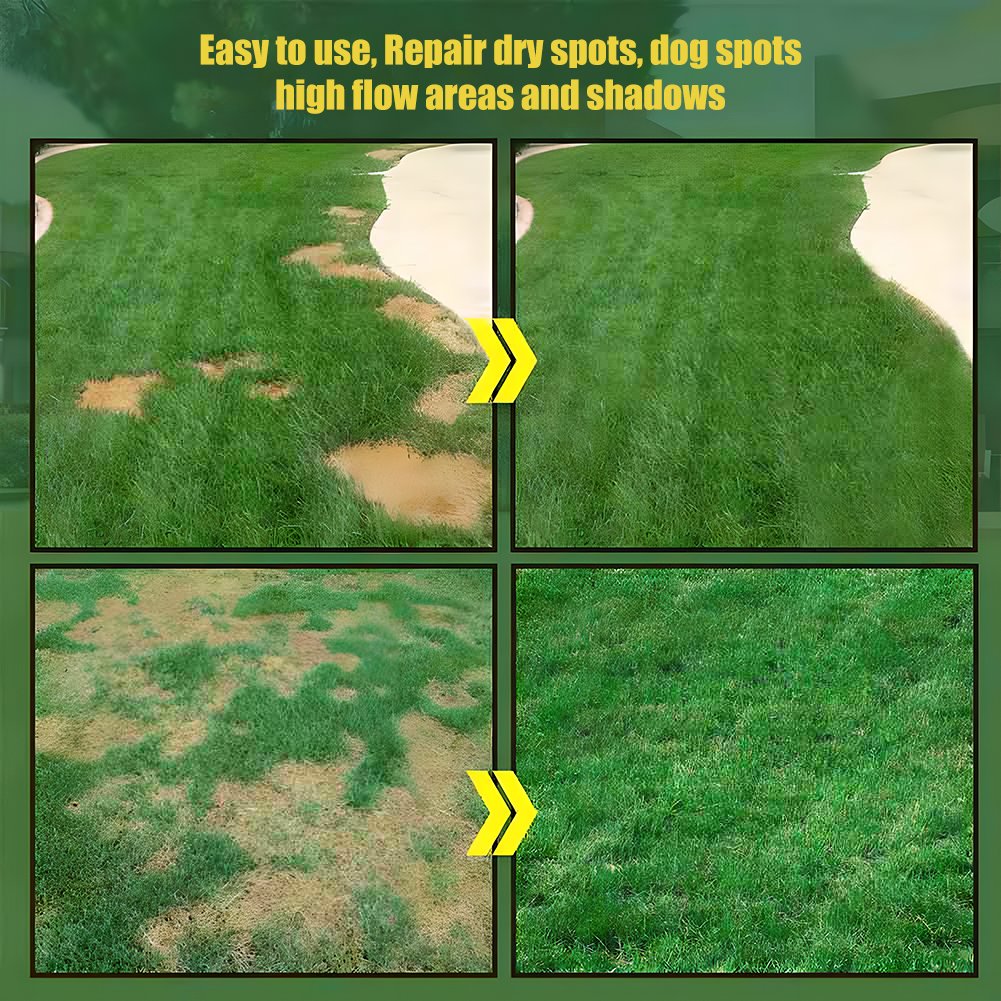 LawnRevive – Quick Repair Grass Seed Mix – image 2
