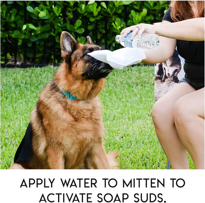 PawComfort – Rinse-Free Grooming Solution – image 4