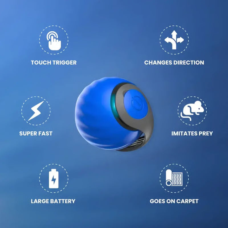 CatChase – Electric Rolling Ball – image 9