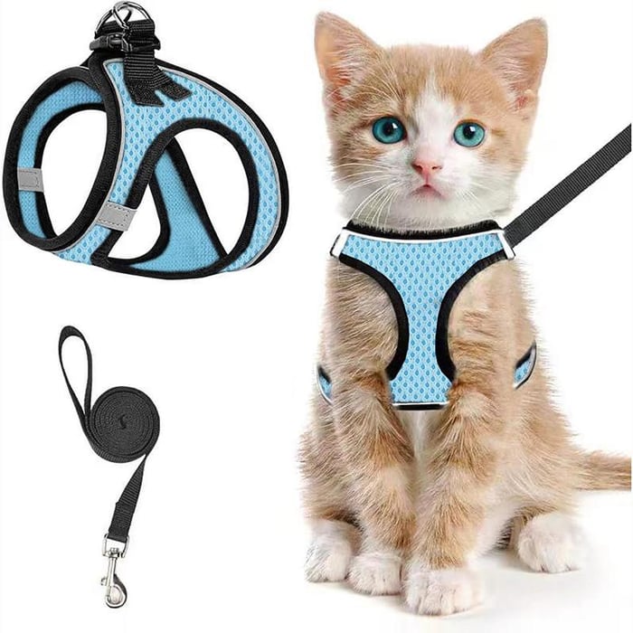 PawFit – Adjustable Pet Harness & Leash Set – Lake Blue / S