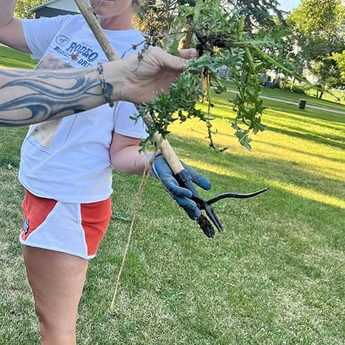 WeedVanish – Deep Root Removal Tool – image 4