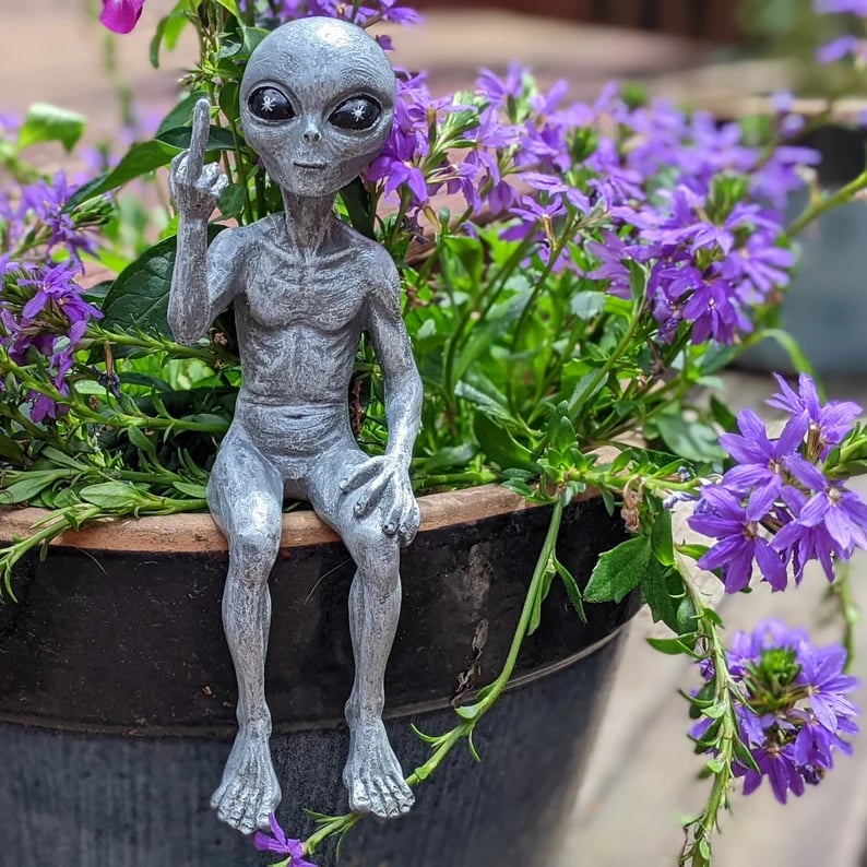 AlienMeme – Funny 2026 Alien Artwork – image 5
