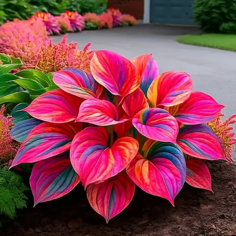 GardenÉlan – Rare Hosta Seeds for Home Gardens (100 Seeds) – Rainbow