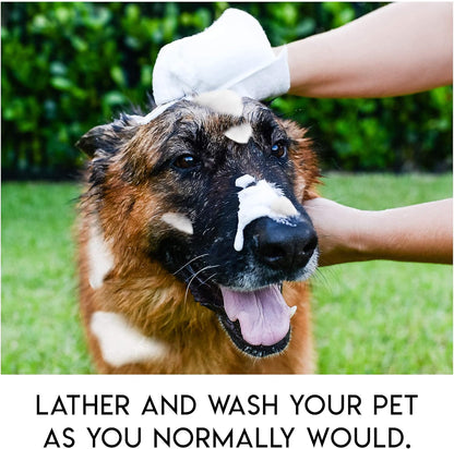 PawComfort – Rinse-Free Grooming Solution – image 3