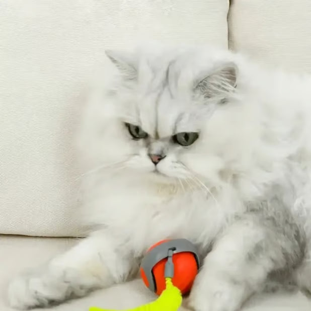 CatChase – Electric Rolling Ball – image 6