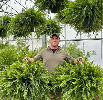 LeafLuxe – Realistic UV Protected Artificial Boston Fern – Buy 5 Get 2 Free ( 7 Bundles )
