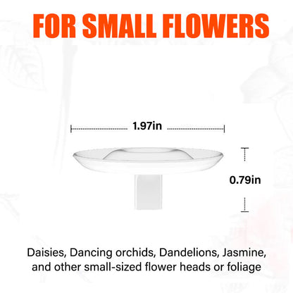 FloraFloat – Creative Floating Floral Arrangement Holder – Small / 1 PC