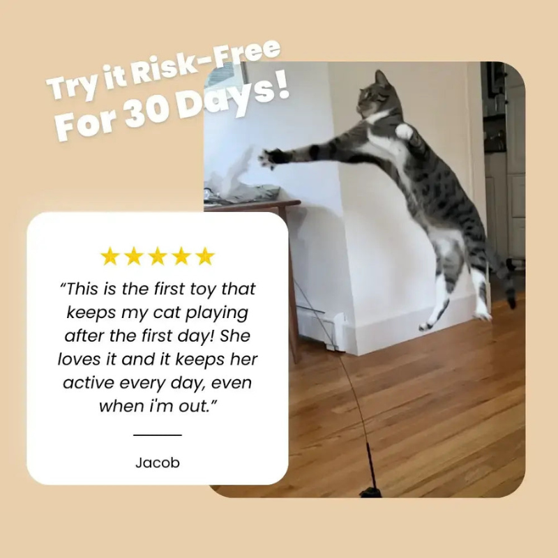 CatVibe – Stimulating Interactive Toy Set – image 3