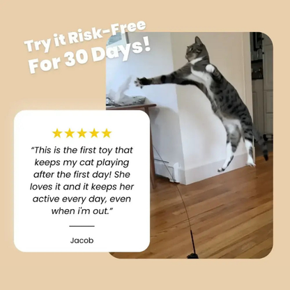 CatVibe – Stimulating Interactive Toy Set – image 3