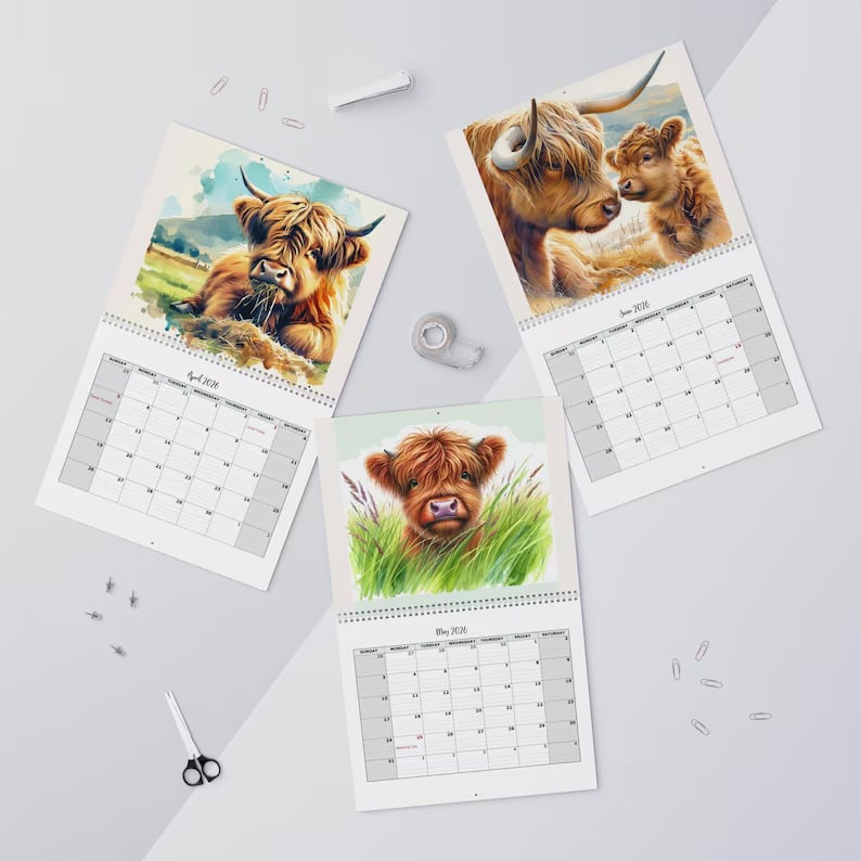 HighlandHugs – 2026 Cute Highland Cow Wall Calendar – image 3
