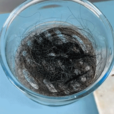 DrainGuard – Pipe Dredge Deodorant – image 3