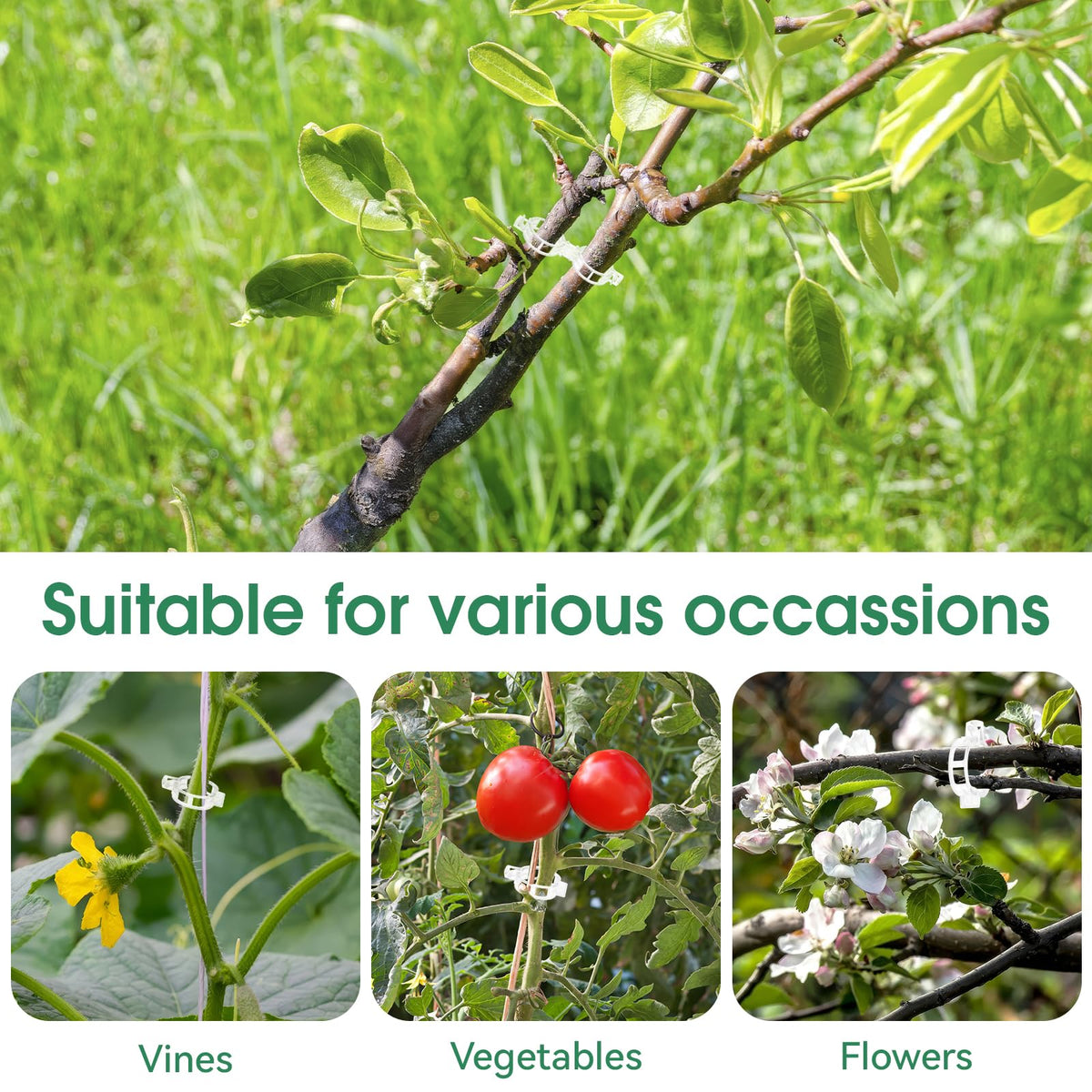 VineHold – Plant Support Clips – image 5