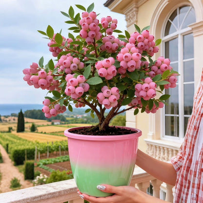 PinkDelight Berries – Premium Garden Seeds – image 2