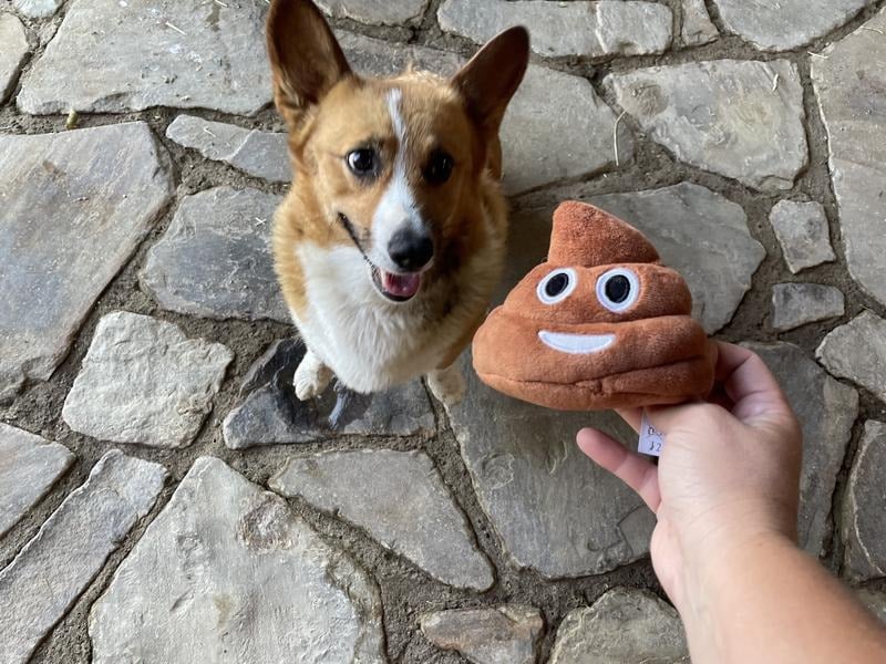 SqueezeBoo – Poop Plush Gag Toy – image 9